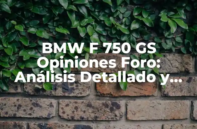 Bmw F 750 Gs Opiniones Foro: Análisis Detallado y Experiencias de los Propietarios
