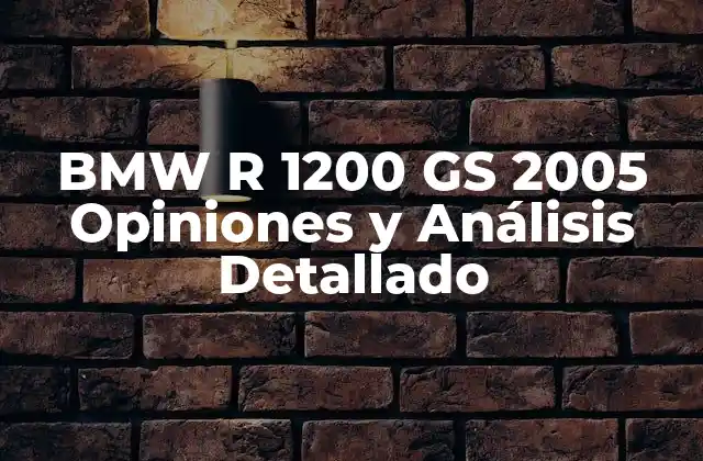 Bmw R 1200 Gs 2005 Opiniones y Análisis Detallado