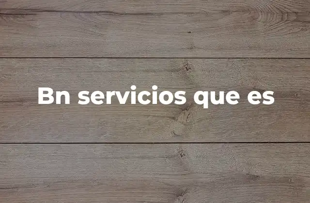 Bn Servicios que es