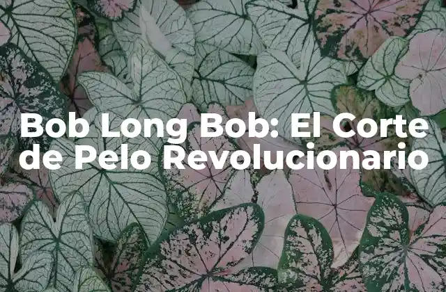 Bob Long Bob: el Corte de Pelo Revolucionario