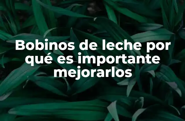 Bobinos de Leche por Qué es Importante Mejorarlos