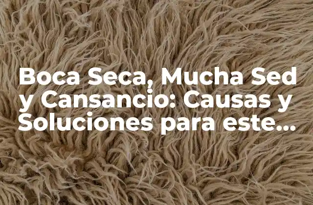Boca Seca, Mucha Sed y Cansancio: Causas y Soluciones para Este Problema Común