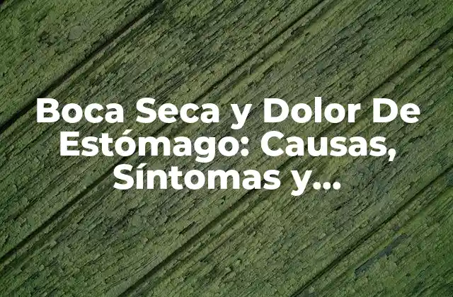 Boca Seca y Dolor de Estómago: Causas, Síntomas y Tratamientos