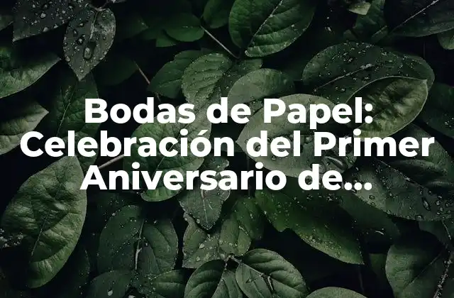 Bodas de Papel: Celebración Del Primer Aniversario de Matrimonio
