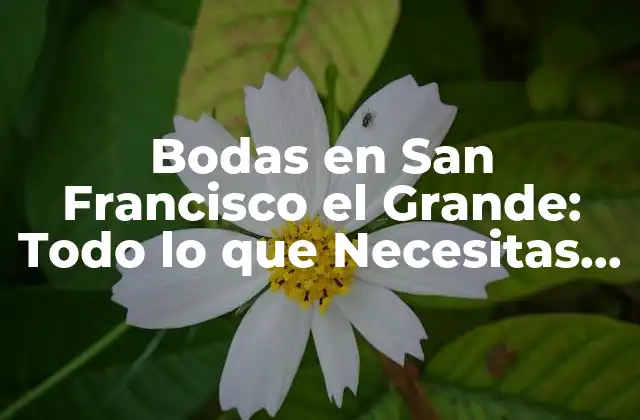 Bodas en San Francisco el Grande: Todo Lo que Necesitas Saber