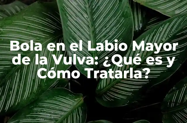 Bola en el Labio Mayor de la Vulva: ¿qué es y Cómo Tratarla?