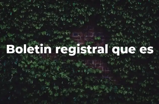 Boletin Registral que es