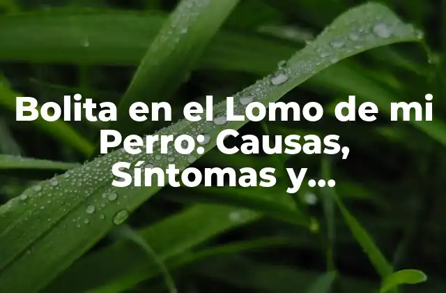 Bolita en el Lomo de Mi Perro: Causas, Síntomas y Tratamiento