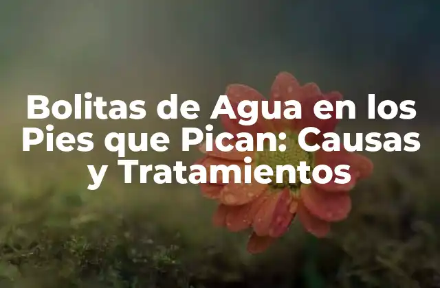 Causas de las Bolitas de Agua en los Pies que Pican