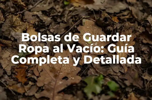 Bolsas de Guardar Ropa Al Vacío: Guía Completa y Detallada