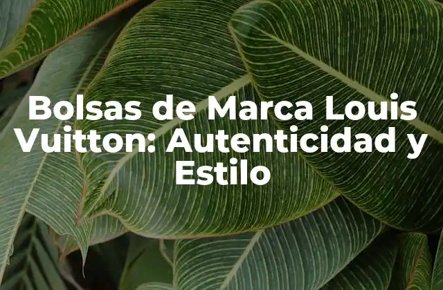 Bolsas de Marca Louis Vuitton: Autenticidad y Estilo 2 La Historia detrás de las Bolsas de Marca Louis Vuitton