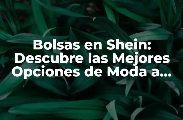 Bolsas en Shein: Descubre las Mejores Opciones de Moda a Precio Asequible