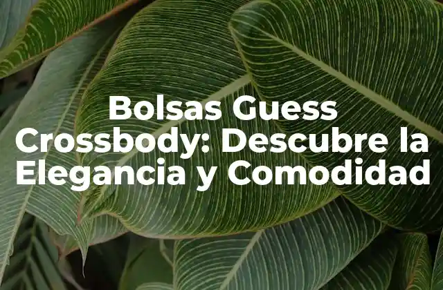 Bolsas Guess Crossbody: Descubre la Elegancia y Comodidad