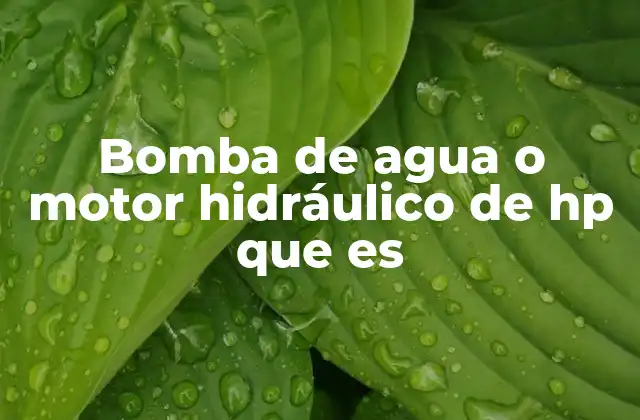 Bomba de Agua o Motor Hidráulico de Hp que es 2 Aplicaciones de los sistemas hidráulicos y de bombeo en la vida moderna