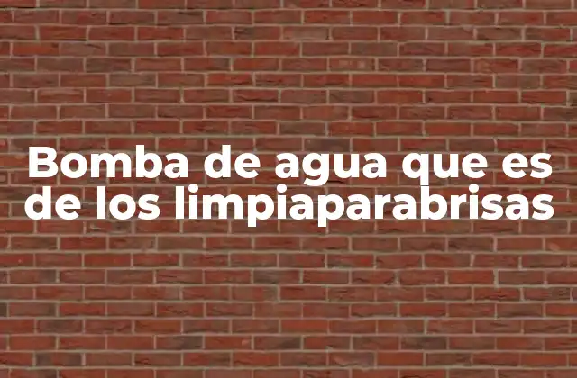 Bomba de Agua que es de los Limpiaparabrisas