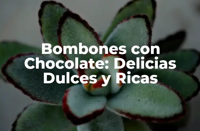 Bombones con Chocolate: Delicias Dulces y Ricas