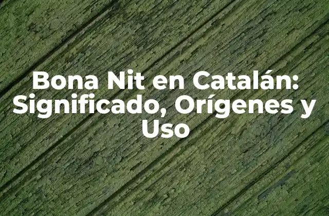 Bona Nit en Catalán: Significado, Orígenes y Uso