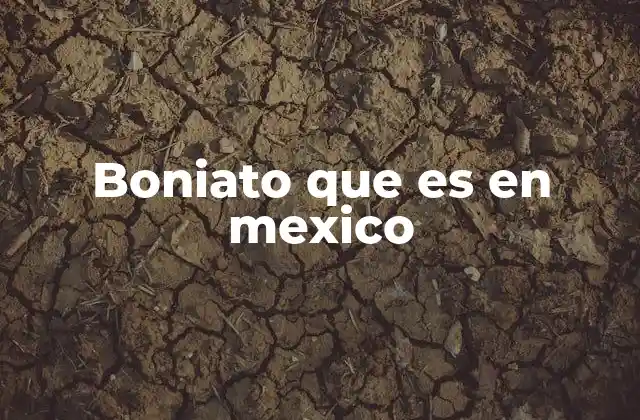 El boniato frente a otros tubérculos en México