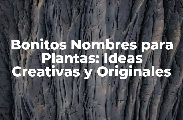 Bonitos Nombres para Plantas: Ideas Creativas y Originales