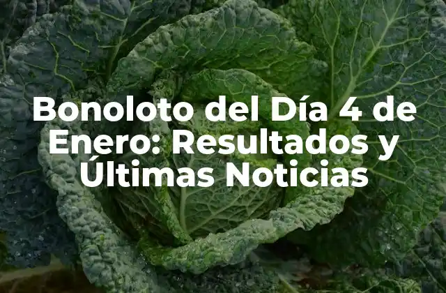 Bonoloto Del Día 4 de Enero: Resultados y Últimas Noticias