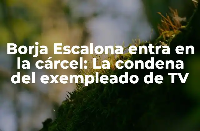 Borja Escalona Entra en la Cárcel: la Condena Del Exempleado de Tv