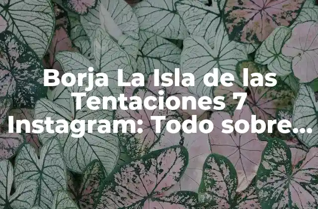 Borja la Isla de las Tentaciones 7 Instagram: Todo sobre el Reality Show