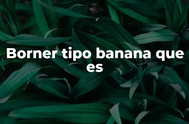 Uso y funciones del borne banana en sistemas eléctricos