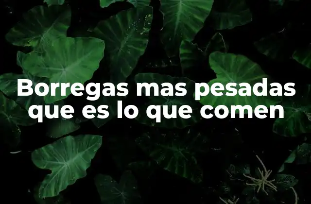 Borregas mas Pesadas que es Lo que Comen 2 Factores que influyen en la cantidad de comida que ingiere una borrega
