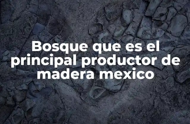 Bosque que es el Principal Productor de Madera Mexico