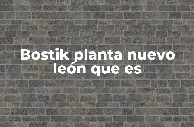 Bostik Planta Nuevo León que es