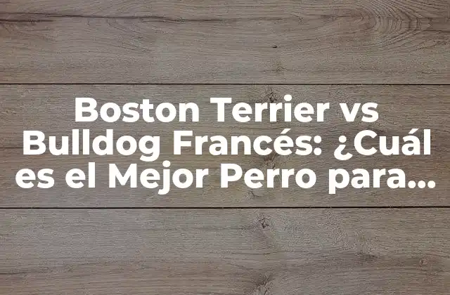 Boston Terrier Vs Bulldog Francés: ¿cuál es el Mejor Perro para Ti?