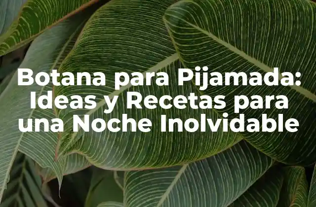 Botana para Pijamada: Ideas y Recetas para una Noche Inolvidable