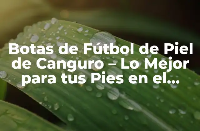 Botas de Fútbol de Piel de Canguro – Lo Mejor para Tus Pies en el Campo