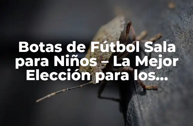 Botas de Fútbol Sala para Niños – la Mejor Elección para los Futuros Estrellas