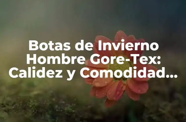 Botas de Invierno Hombre Gore-tex: Calidez y Comodidad en la Moda