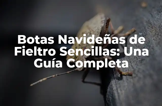 Orígenes de las Botas Navideñas de Fieltro Sencillas