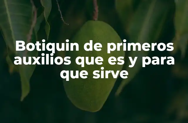 Botiquin de Primeros Auxilios que es y para que Sirve