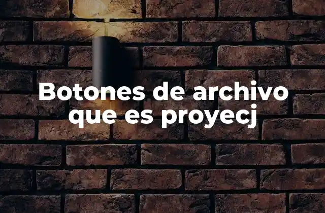 Botones de Archivo que es Proyecj 2 La importancia de los controles de gestión de archivos