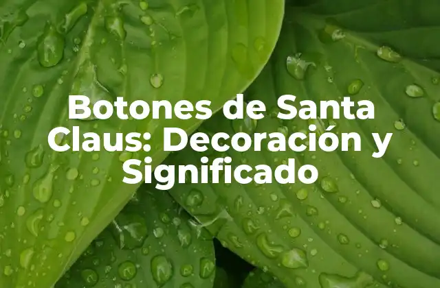 Botones de Santa Claus: Decoración y Significado