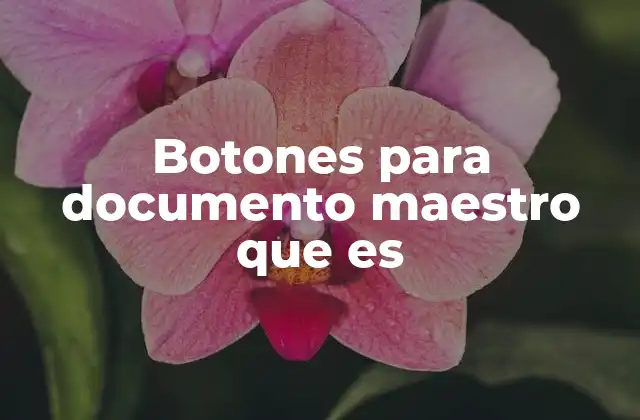 Botones para Documento Maestro que es