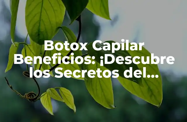 Botox Capilar Beneficios: ¡descubre los Secretos Del Tratamiento Estrella para el Cabello!