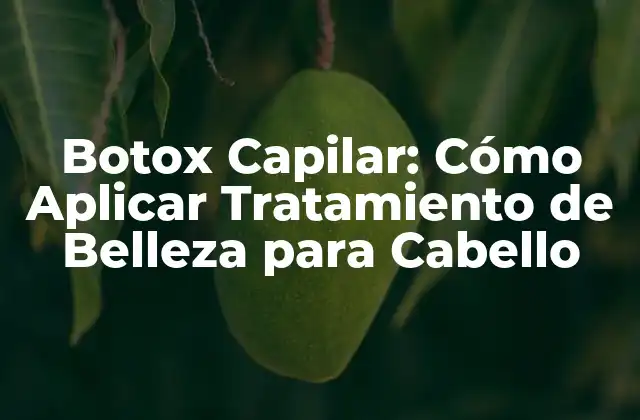 Botox Capilar: Cómo Aplicar Tratamiento de Belleza para Cabello