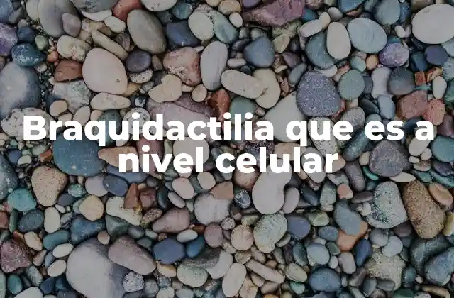 Braquidactilia que es a Nivel Celular