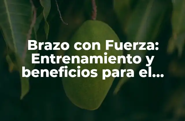 Brazo con Fuerza: Entrenamiento y Beneficios para el Desarrollo Muscular