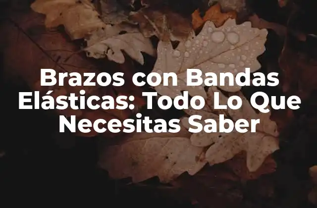 Brazos con Bandas Elásticas: Todo Lo que Necesitas Saber