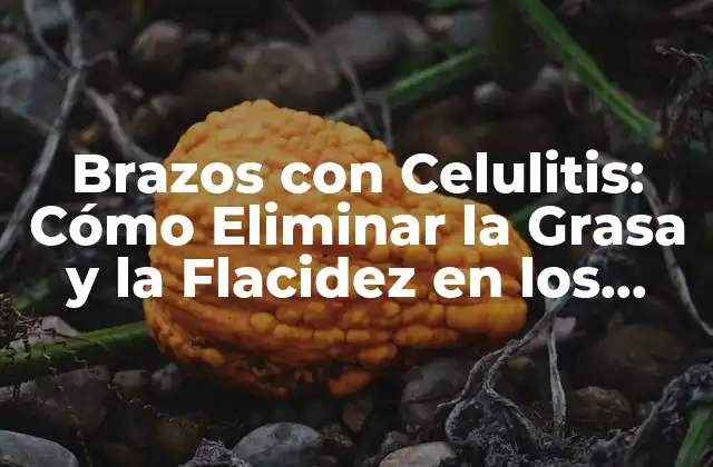 Brazos con Celulitis: Cómo Eliminar la Grasa y la Flacidez en los Brazos 2 ¿Qué es la Celulitis en los Brazos?