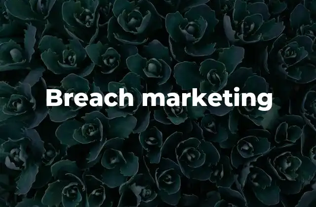 Breach Marketing 2 Rompiendo las normas del marketing tradicional