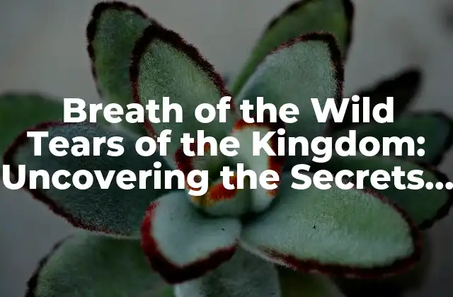 Breath Of The Wild Tears Of The Kingdom: Uncovering The Secrets Of Hyrule
