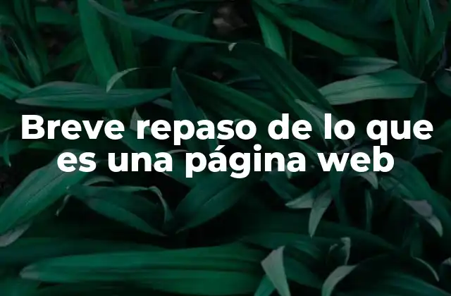 Breve Repaso de Lo que es una Página Web