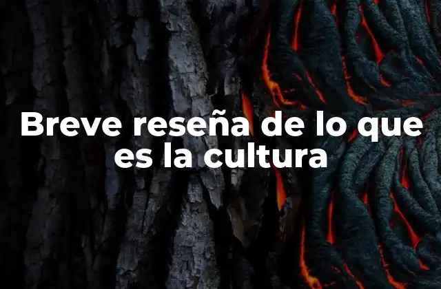 Breve Reseña de Lo que es la Cultura